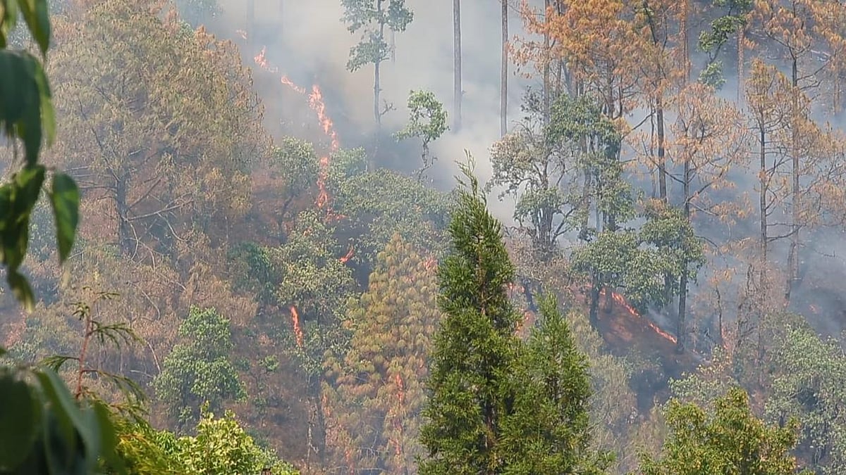 धधक रहा उत्तराखंड, सरकार को परवाह नहीं