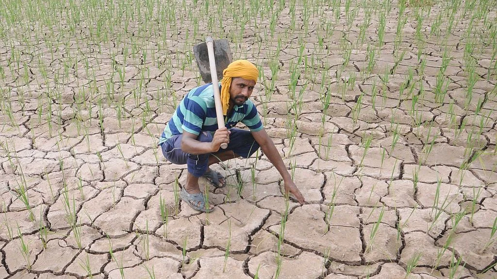 फोटो: Getty Images