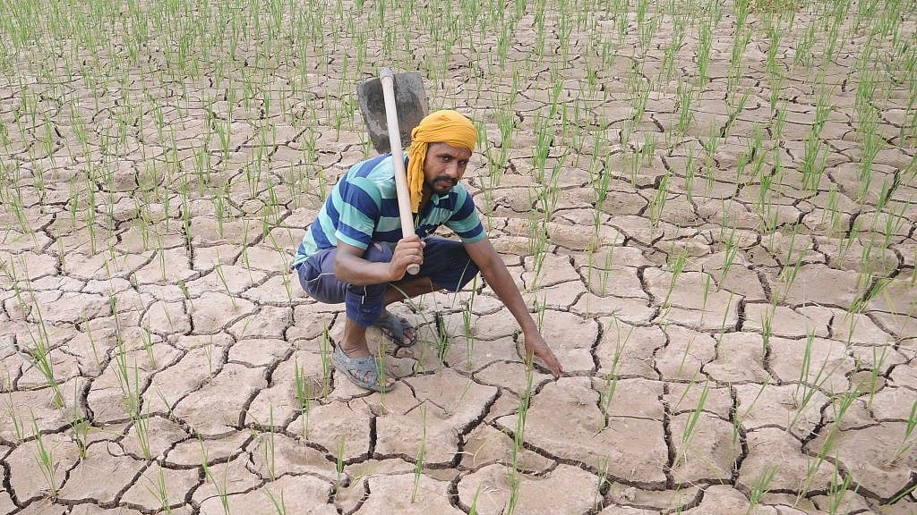 फोटो: Getty Images