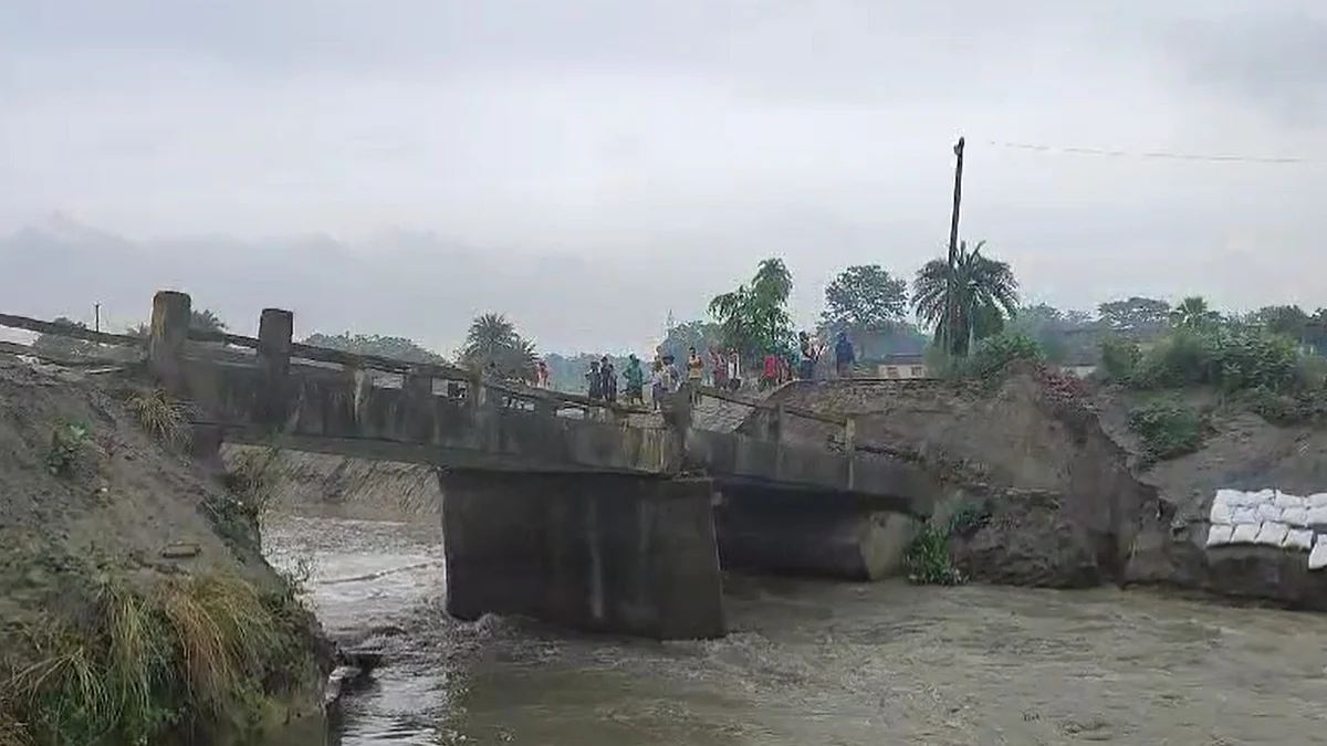 फोटो: सोशल मीडिया