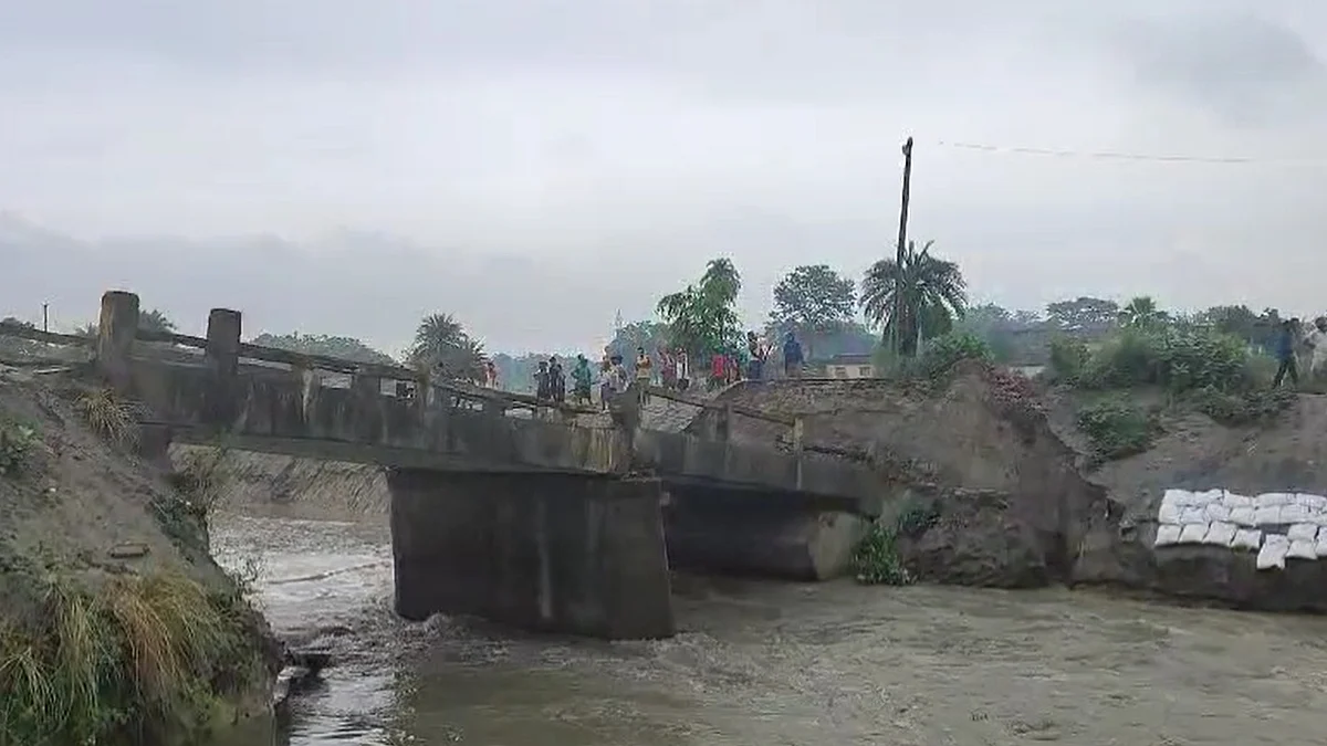 फोटो: सोशल मीडिया