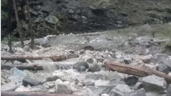 फोटो: सोशल मीडिया 
