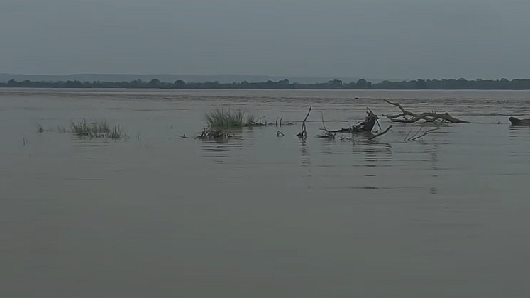फोटो: IANS