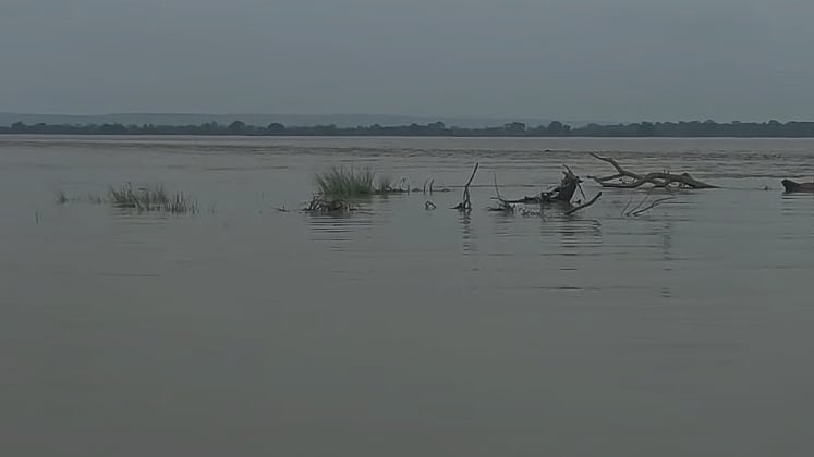 फोटो: IANS