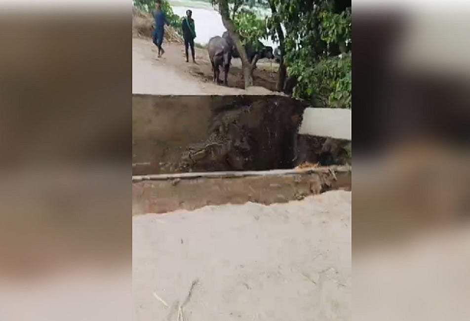 बिहारः नीतीश सरकार में बना एक और पुल ध्वस्त, सहरसा के NH-17 पर बना पुल टूटकर कोसी में बहा