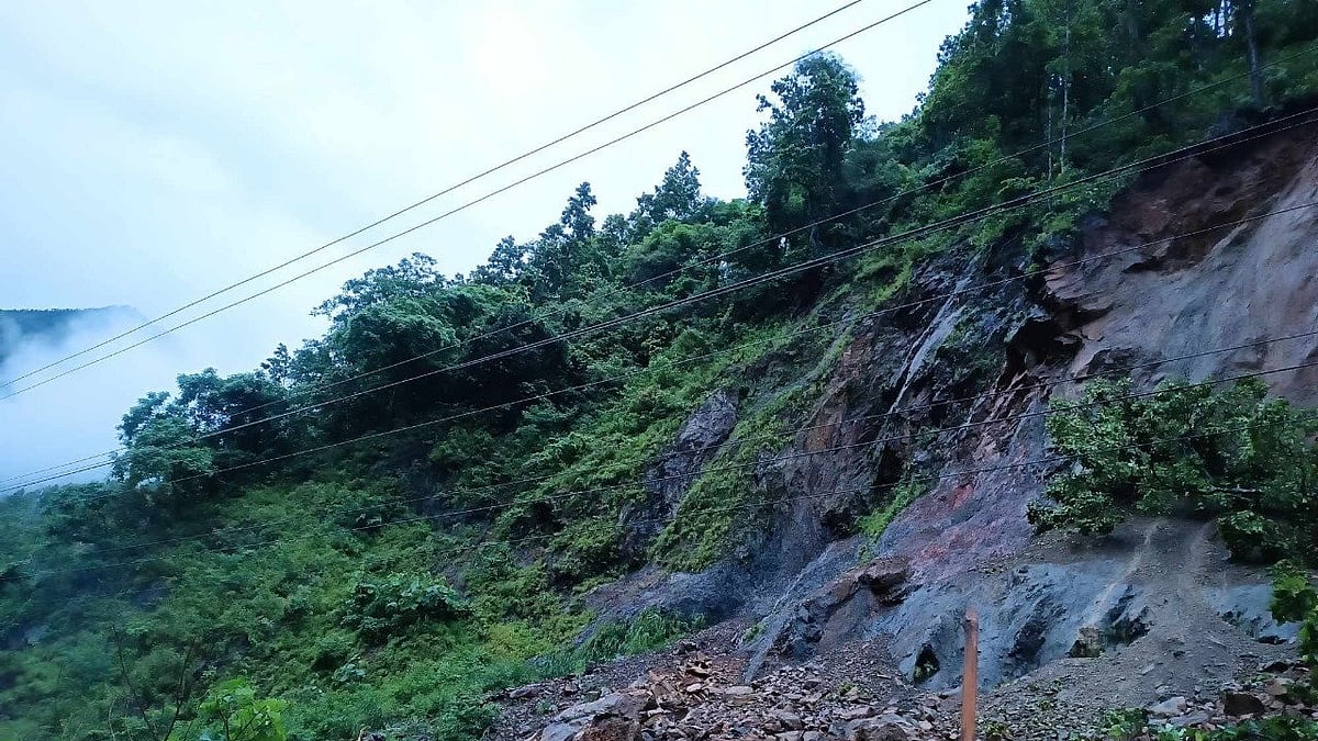 फोटो: सोशल मीडिया