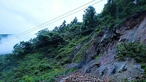 फोटो: सोशल मीडिया
