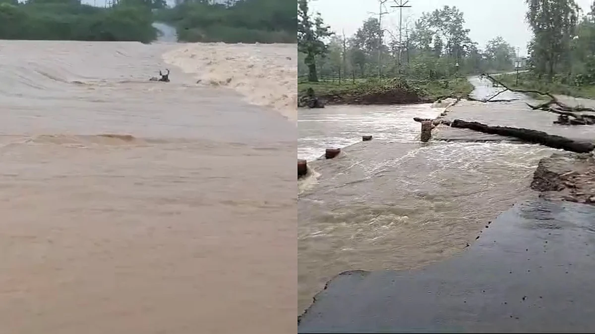 फोटो : आईएएनएस