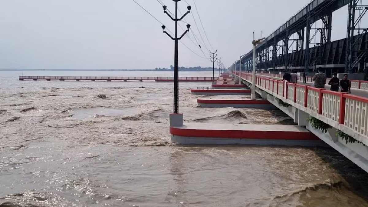 फोटो: सोशल मीडिया