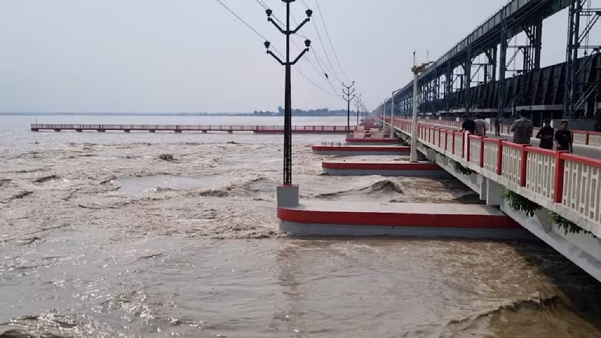 फोटो: सोशल मीडिया