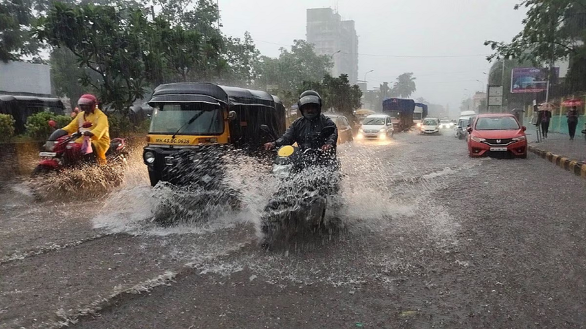 फोटो: सोशल मीडिया