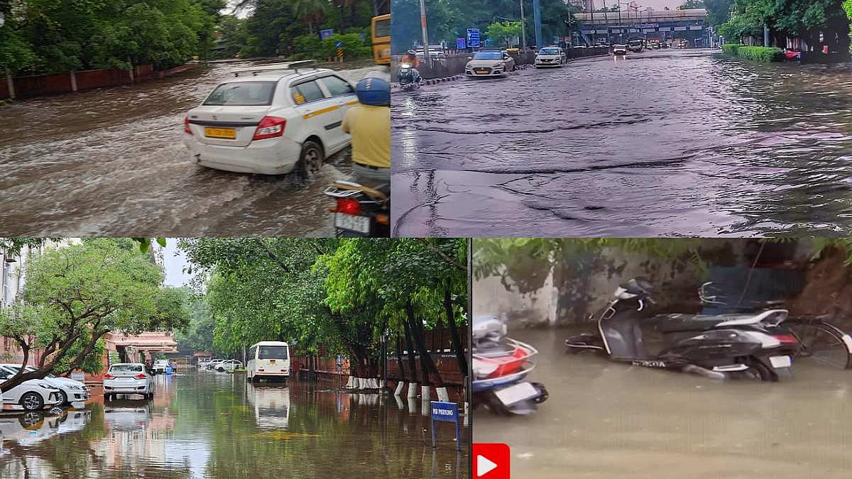 फोटो: सोशल मीडिया