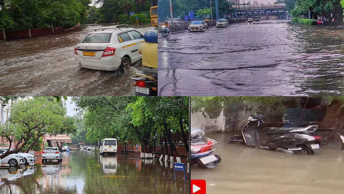 फोटो: सोशल मीडिया