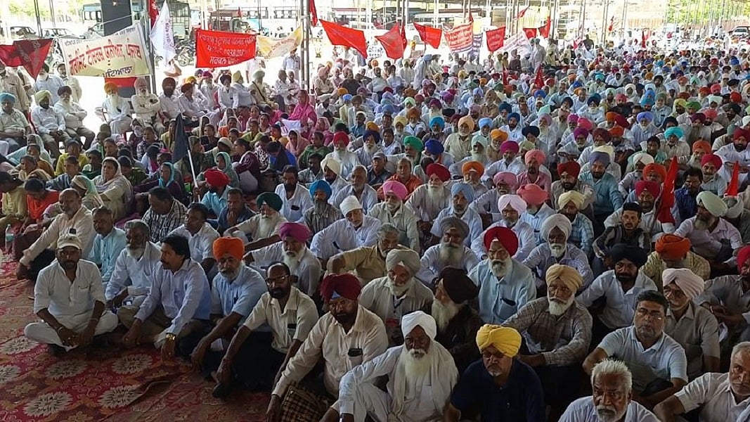 पंजाब के बरनाला में सरकारी कर्मचारियों की रोष रैली, AAP सरकार पर वादा खिलाफी का लगाया आरोप
