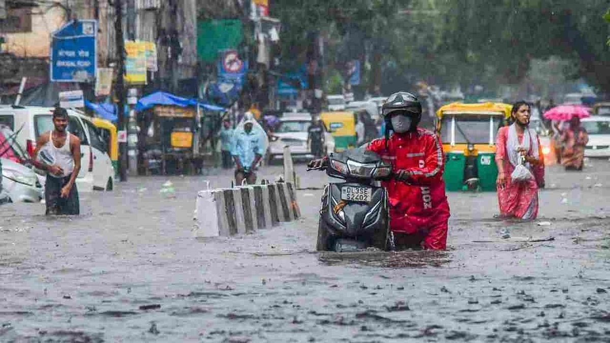 फोटो: सोशल मीडिया 