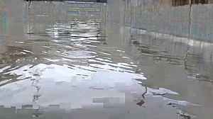 दिल्ली-NCR में आफत की बारिश, फरीदाबाद में रेलवे अंडरपास के जलभराव में डूबी कार, ऑफिस से लौट रहे दो लोगों की मौत