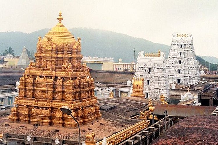 तिरुपति के प्रसाद में “गोमांस की चर्बी” होने का दावा, फिश ऑयल के सैंपल भी मिले