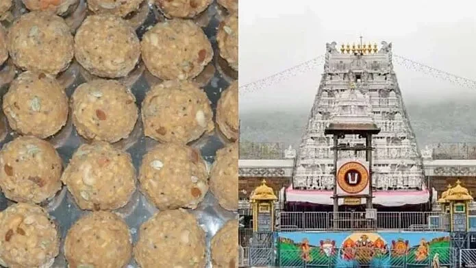 प्रतीकात्मक तस्वीर
