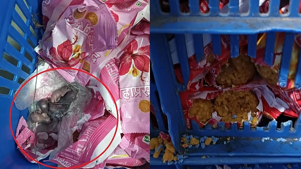 फोटो: सोशल मीडिया