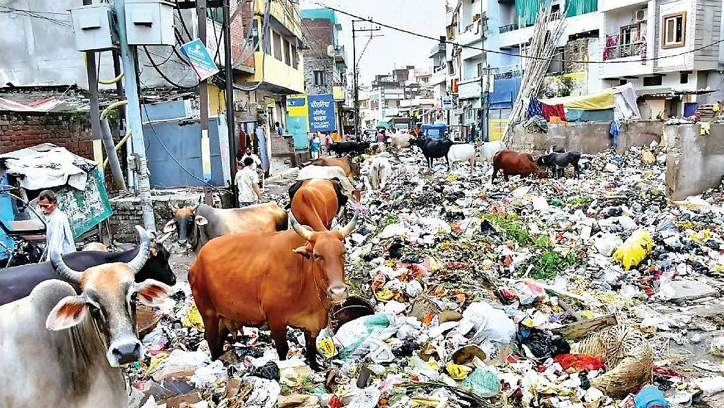 अखिलेश यादव का पीएम पर तंज, बोले- बनारस क्योटो तो बना नहीं, जो था वो भी रहा नहीं