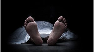 प्रतीकात्मक तस्वीर 
