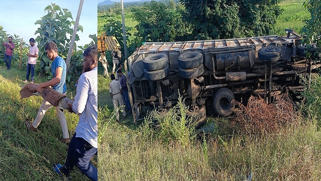 तेलंगाना में जंगली जानवरों को ले जा रहा ट्रक पलटा, हादसे के बाद दो मगरमच्छ भागे, वन विभाग ने पकड़ा