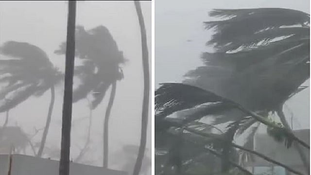 फोटो: सोशल मीडिया