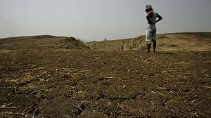महाराष्ट्र विधानसभा चुनाव: कांग्रेस ने PM मोदी से पूछा- किसानों की आत्महत्या रोकने के लिए क्या कर रही बीजेपी?