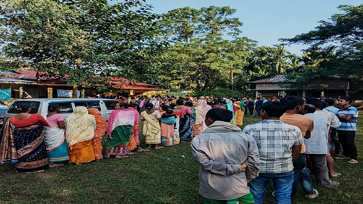 By-Election 2024 Live: वायनाड लोकसभा सीट पर 5 बजे तक 60.79% मतदान,10 राज्यों की 31 विधानसभा सीटों पर भी हुई वोटिंग