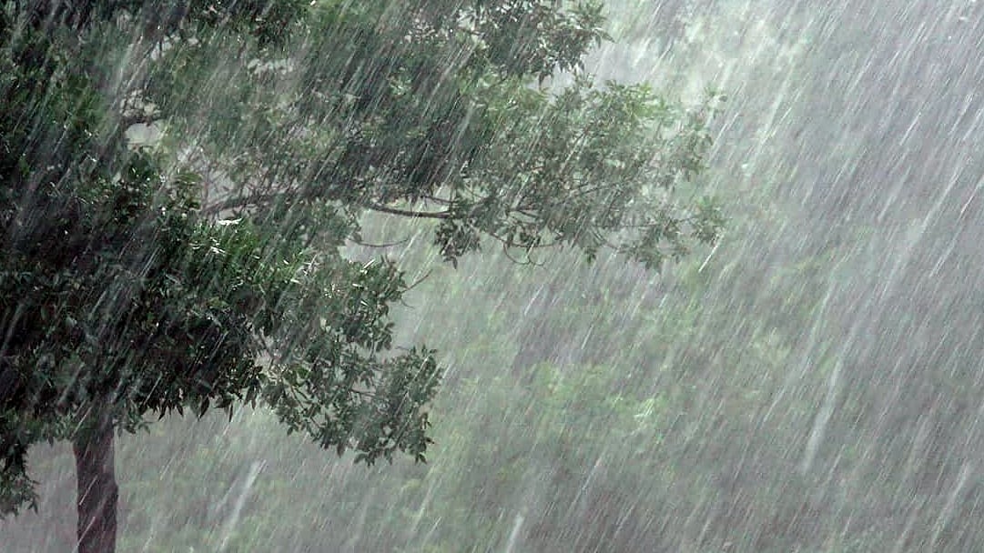 फोटो: IANS