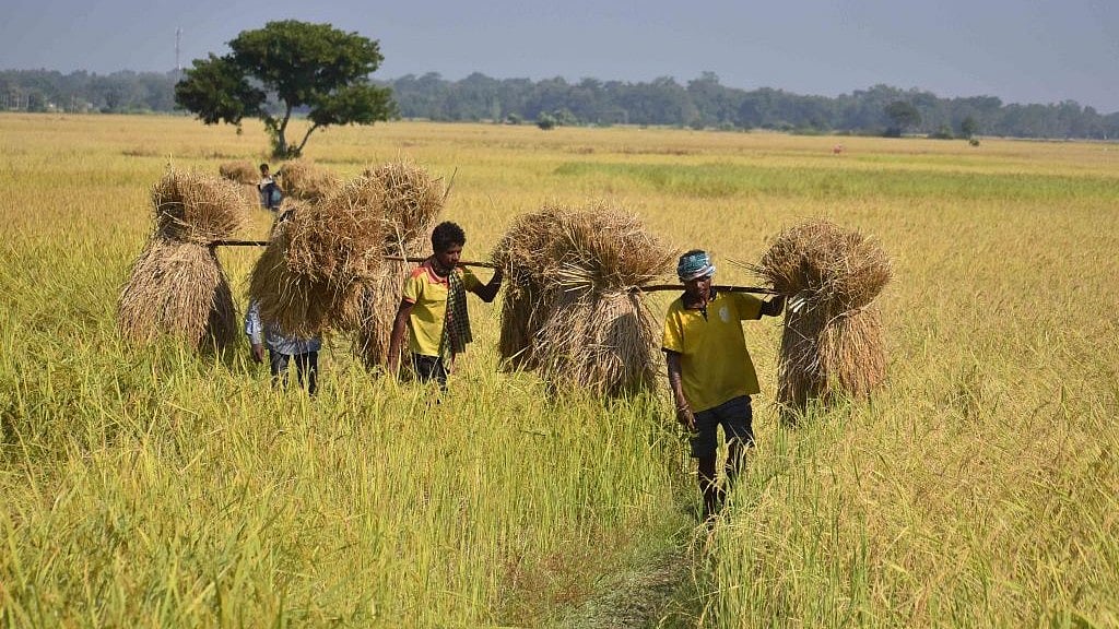 संयुक्त किसान मोर्चा का कृषि मंत्री पर लोगों को गुमराह करने का आरोप, कहा- फसलों की एमएसपी पर श्वेत पत्र लाए सरकार