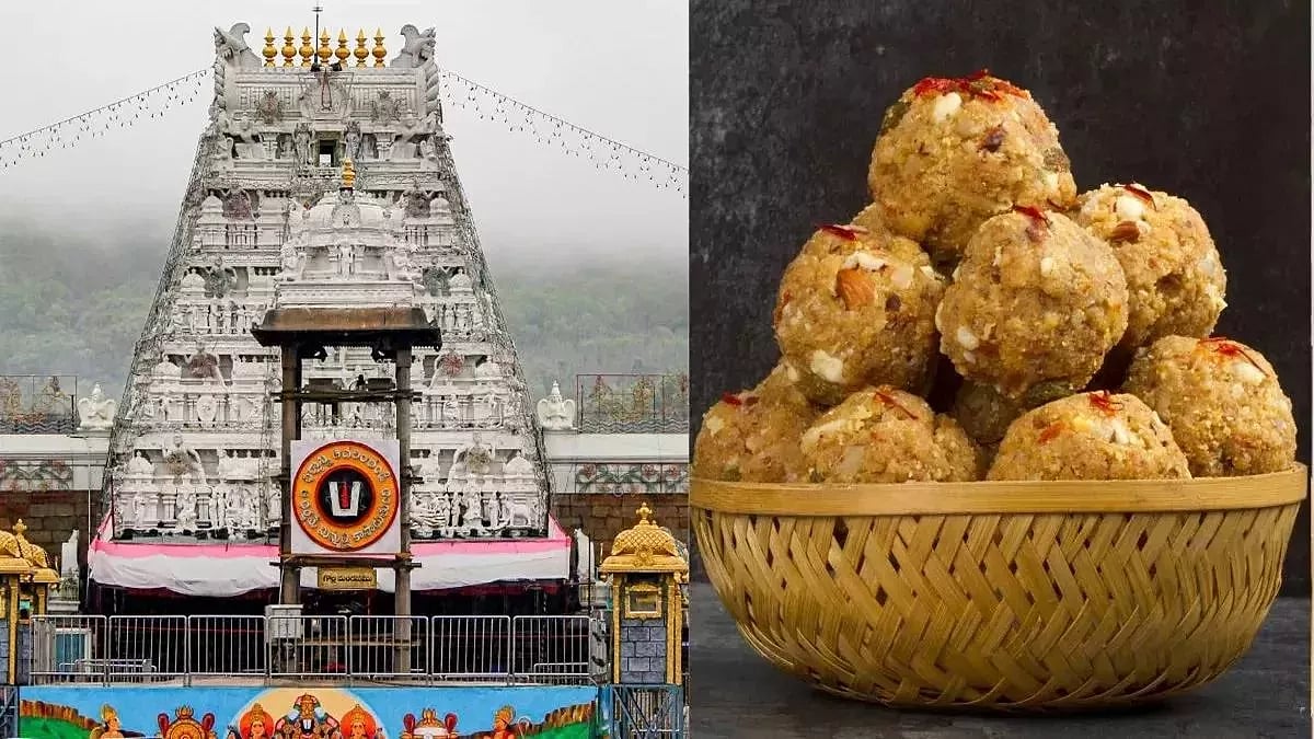 तिरुपति लड्डू मामला: SIT ने चार लोगों को किया गिरफ्तार, 'लड्डू प्रसादम् मिलावटी घी' मामले में हुई कार्रवाई