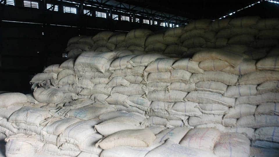 उत्तर प्रदेश: अलीगढ़ में FCI भंडारण केंद्र में रखे हजारों टन अनाज में कीड़े लगे, 20 कर्मियों को नोटिस जारी