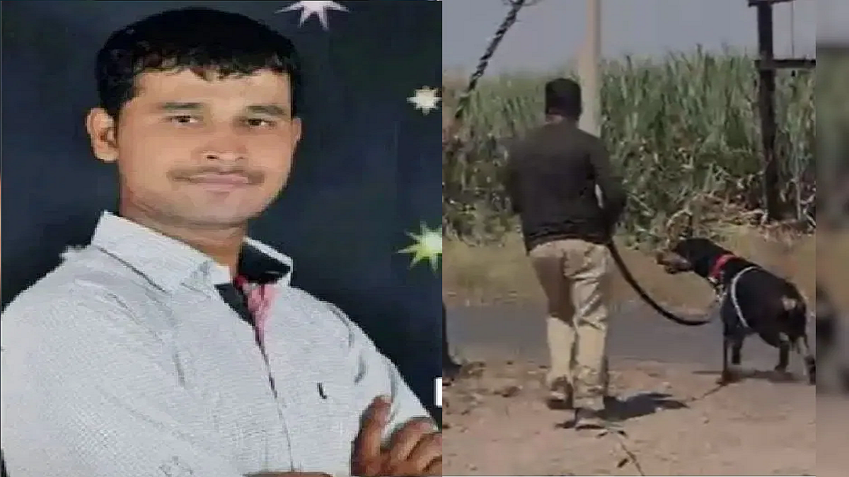 फोटो: सोशल मीडिया
