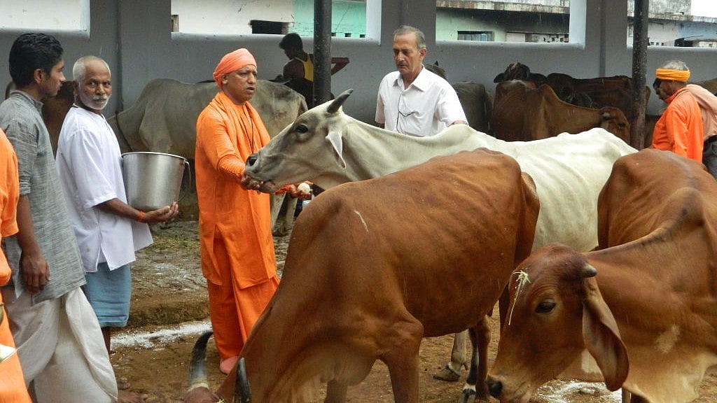 गोवंश और मंदिर पर्यटन ही है उत्तर प्रदेश के 'सनातन बजट' का सार