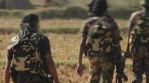 छत्तीसगढ़ के नारायणपुर में 40 लाख रुपए के इनामी 11 नक्सलियों ने किया आत्मसमर्पण, पुलिस के सामने डाले हथियार
