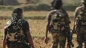 छत्तीसगढ़ के नारायणपुर में 40 लाख रुपए के इनामी 11 नक्सलियों ने किया आत्मसमर्पण, पुलिस के सामने डाले हथियार