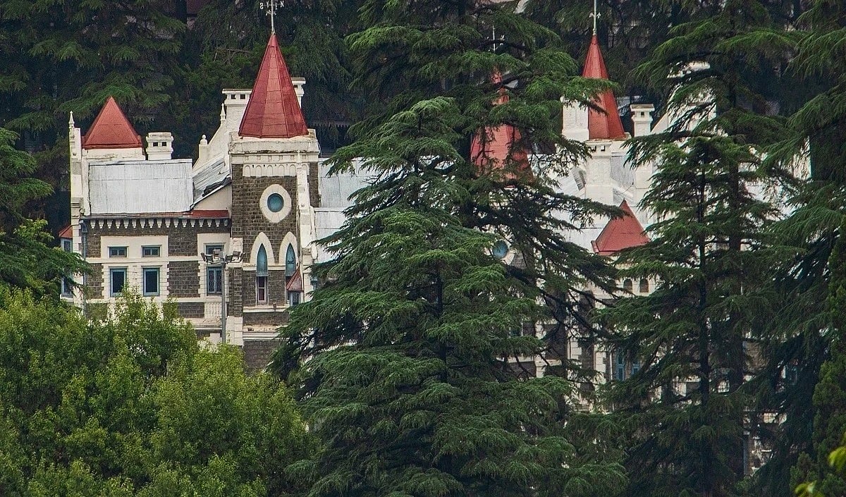 सड़क चौड़ीकरण के लिए तीन हजार वृक्षों के कटान पर रोक, उत्तराखंड उच्च न्यायालय का फैसला