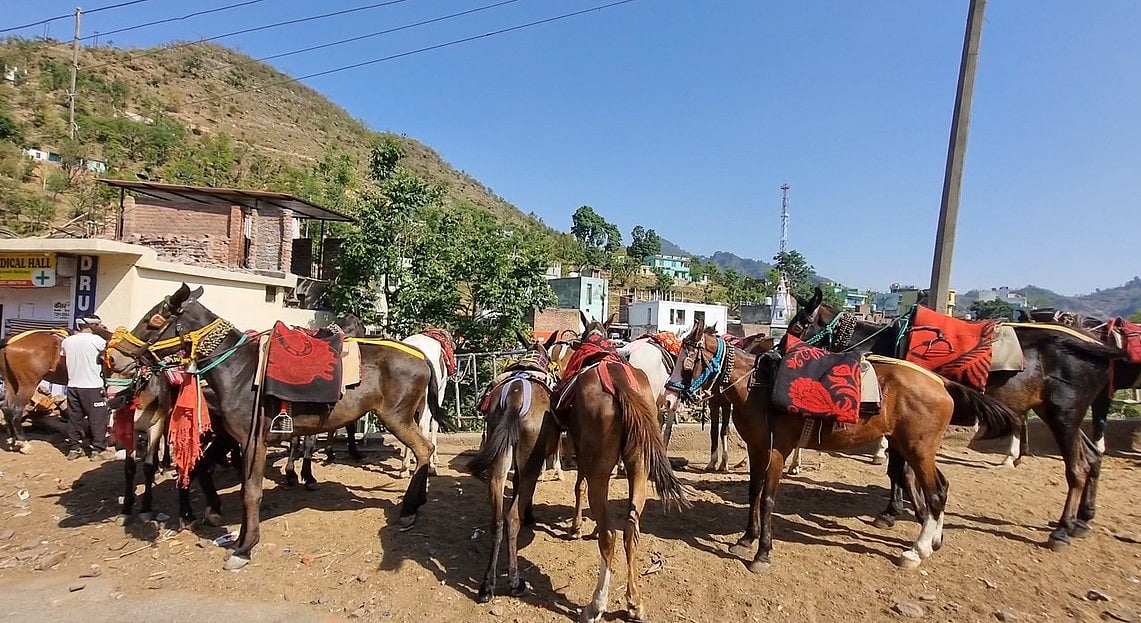 पहलगाम टेरर अटैक: टट्टू चलाने वालों ने बयां किया दर्द, कहा- ‘इस हमले से जिंदगी थम गई, अब क्या करें’