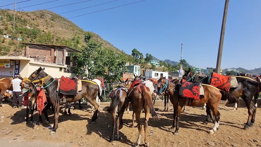 फोटो: IANS