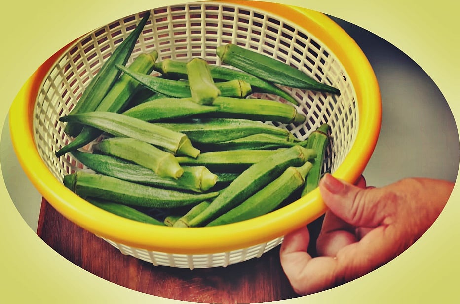 फोटो: IANS