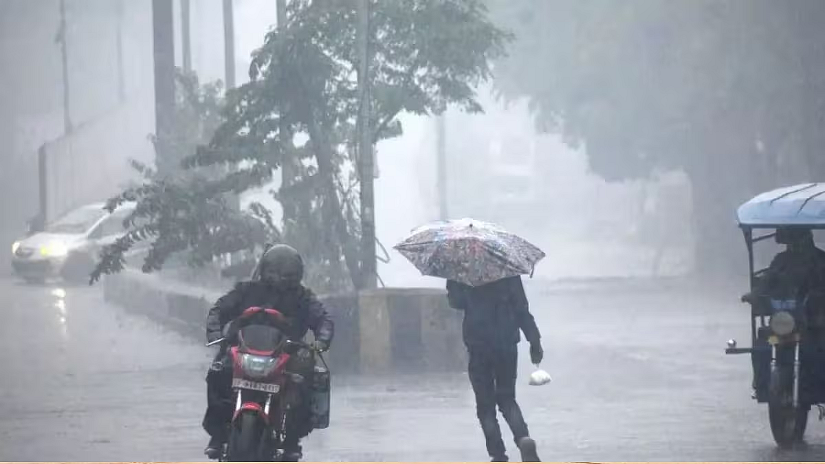 फोटो: सोशल मीडिया