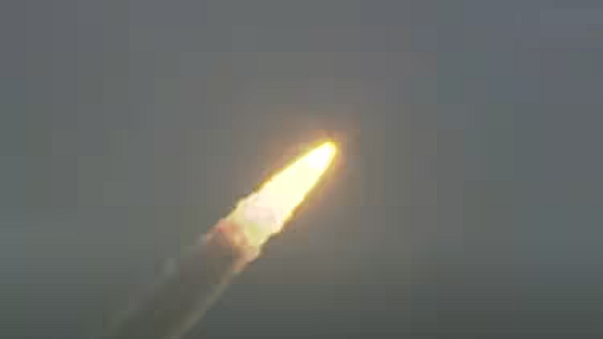फोटो: सोशल मीडिया