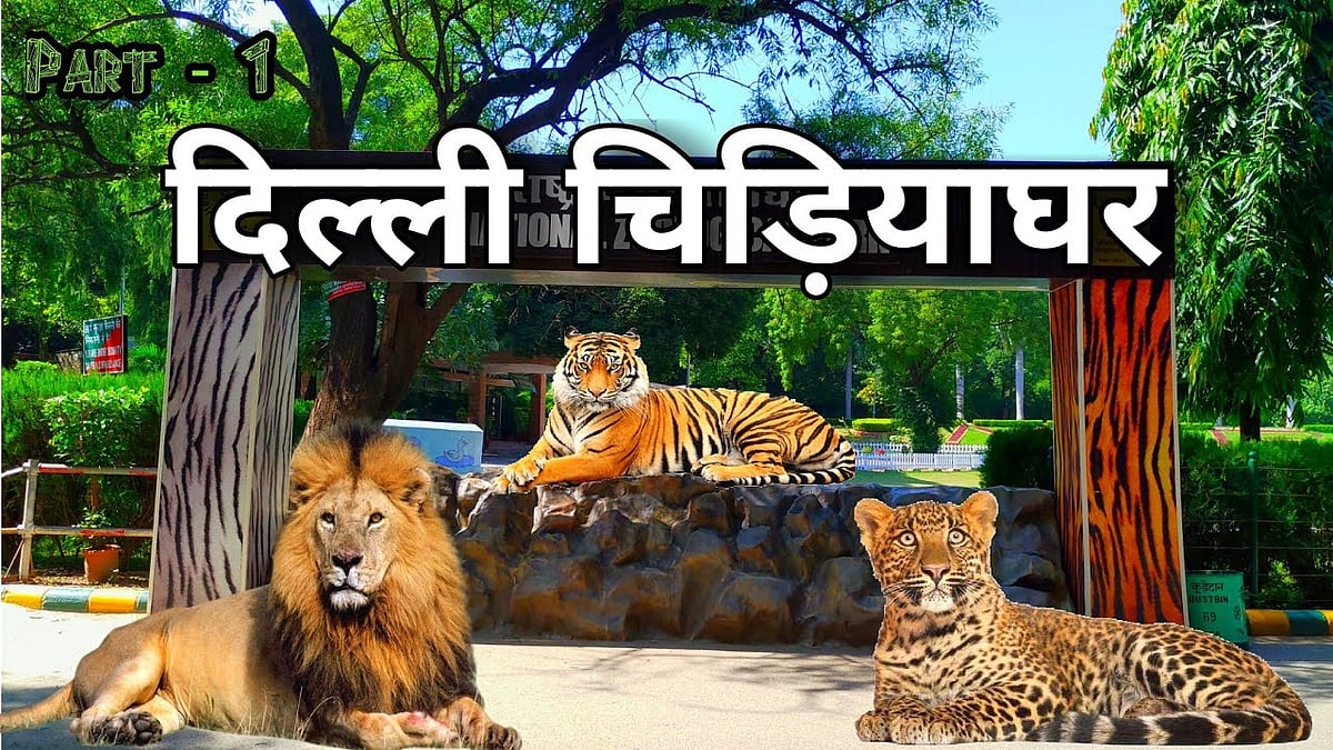 अब दिल्ली का चिड़ियाघर भी अंबानी का: देश की बेशकीमती संपत्ति को सीधे निजी हाथों में सौंपना शर्मनाक और खतरनाक!