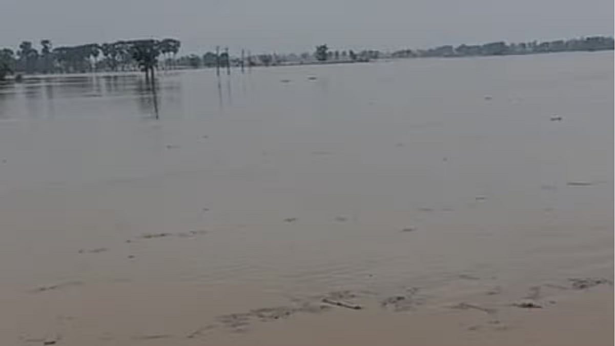 बिहार के नालंदा जिले में बाढ़ जैसे हालात, फल्गू नदी का जलस्तर बढ़ने से कई इलाकों में घुसा पानी