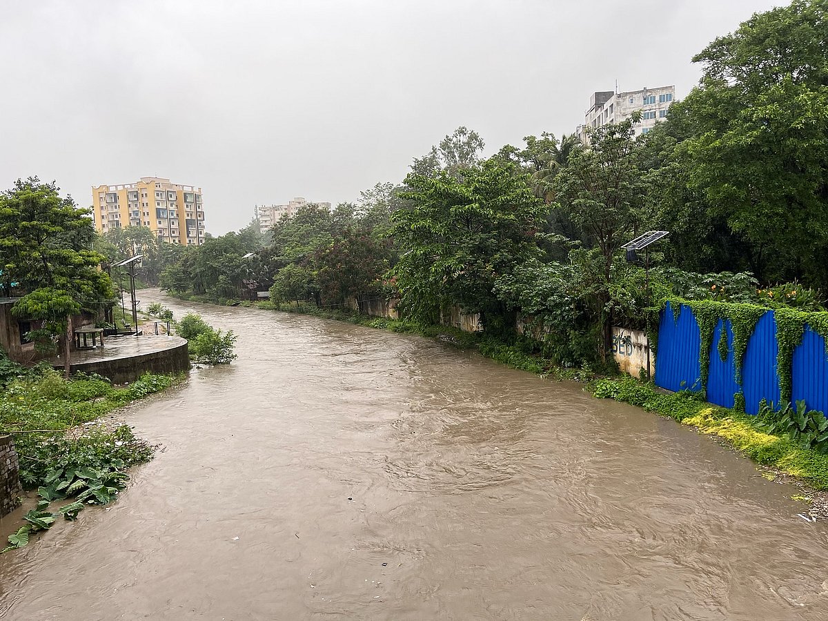 झारखंड में भारी बारिश से जनजीवन बेहाल, हजारीबाग में मकान गिरने से दंपती की मौत, पलामू में दो बच्चे नदी में बहे