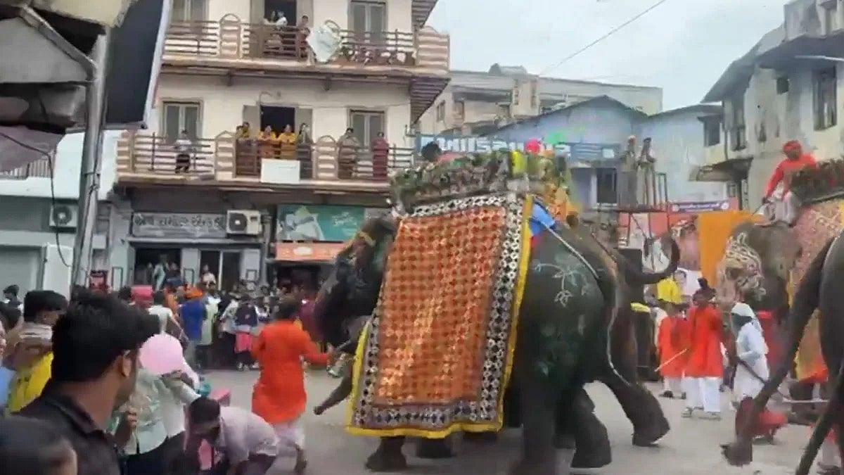 अहमदाबाद में जगन्नाथ रथयात्रा में भगदड़, हाथी हुए बेकाबू, जान बचा के भागे लोग, वीडियो वायरल