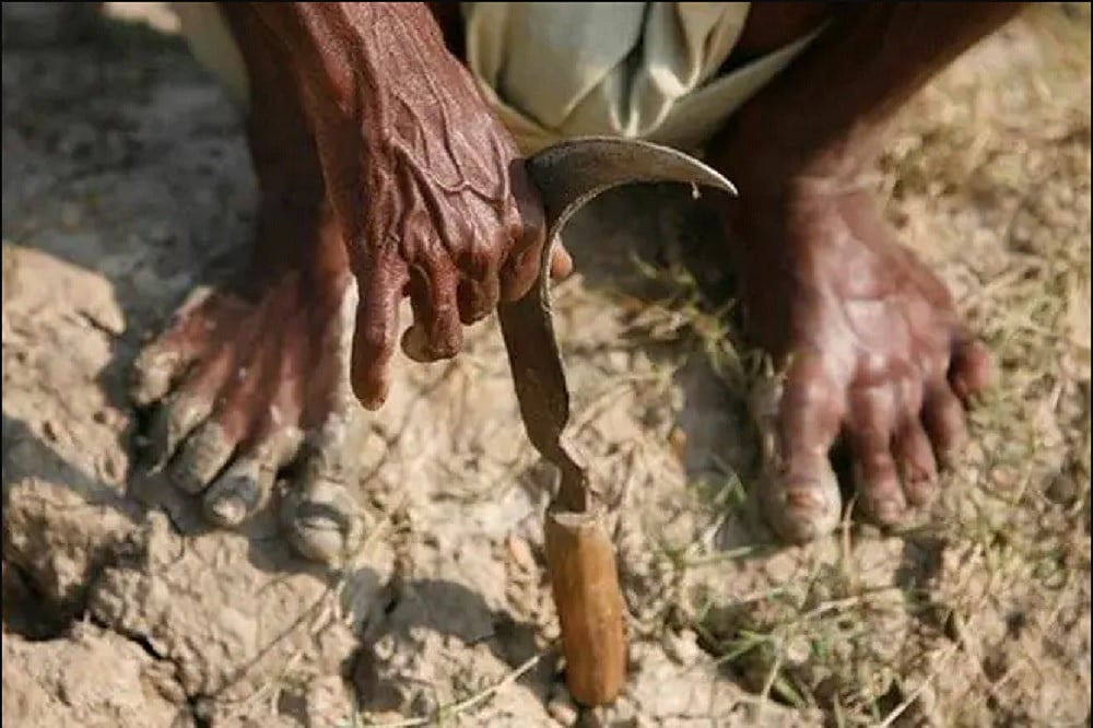 महाराष्ट्रः मराठवाड़ा में जनवरी से जून तक 520 किसानों ने आत्महत्या की, राजस्व विभाग की रिपोर्ट से सरकार घिरी