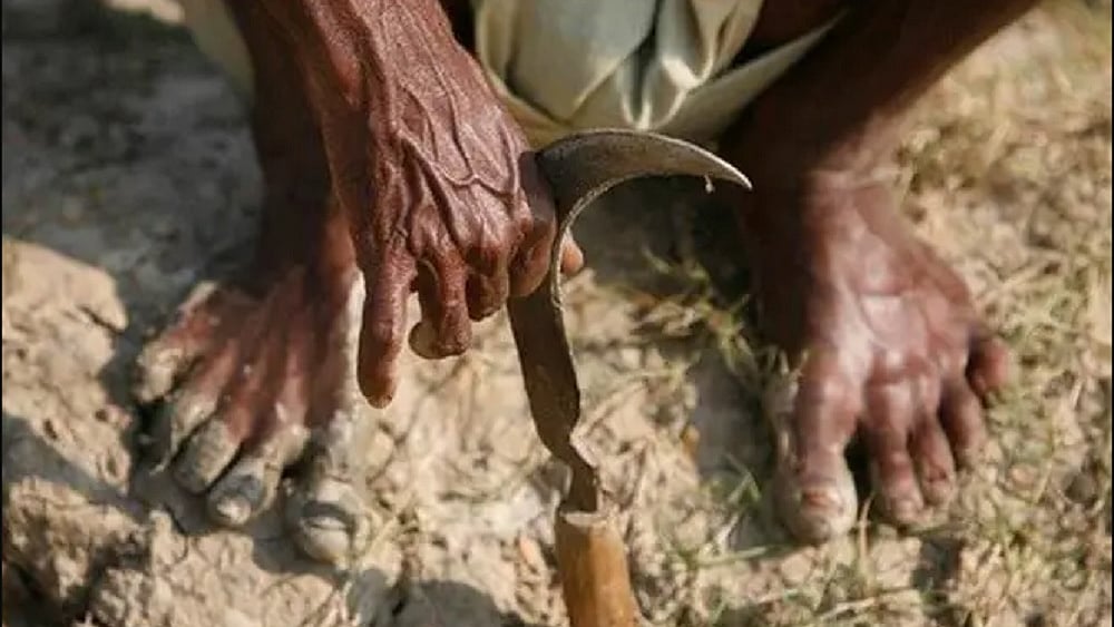 मराठवाड़ा में जनवरी से जून तक 520 किसानों ने आत्महत्या की, राजस्व विभाग की रिपोर्ट से सरकार घिरी