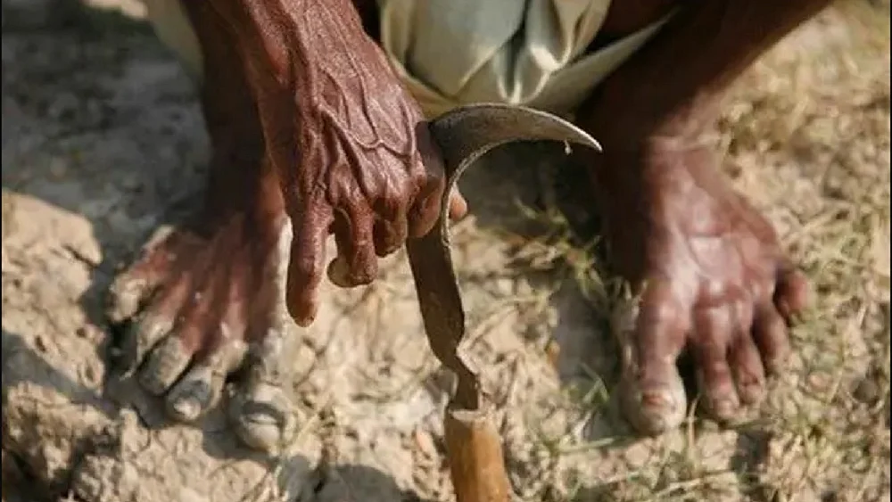 मराठवाड़ा में जनवरी से जून तक 520 किसानों ने आत्महत्या की, राजस्व विभाग की रिपोर्ट से सरकार घिरी